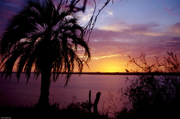 263-31.jpg - el palmar, sonnenaufgang über dem uruguay fluss