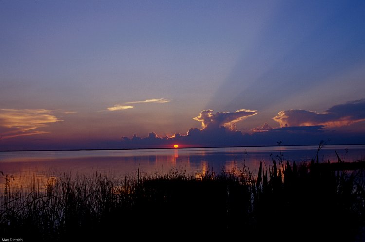 269-29.jpg - esteros del iberá, sonnenuntergang