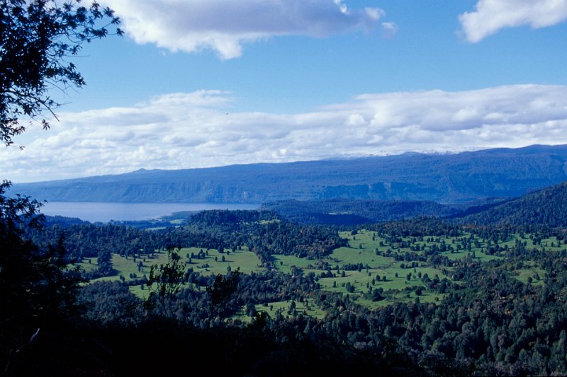 300-18.jpg - lago puyehue, blick vom national park puyehue, chile