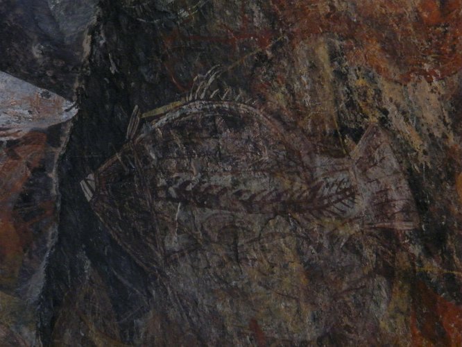 DSCF0224.jpg - manche tiere sind als röntgenbild dargastellt