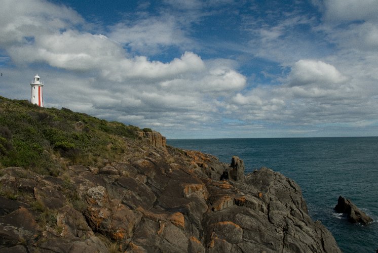 _AU30171.jpg - an der küste von devonport