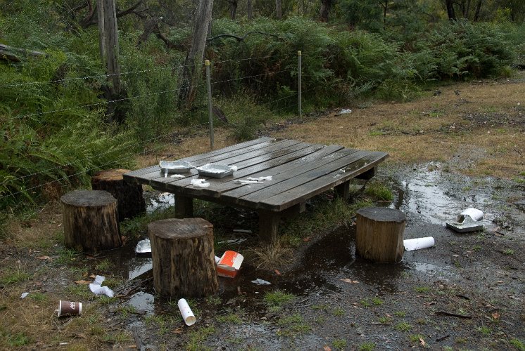 _AU30220.jpg - nach dem picknick, schade, dass manche australier in ihren parks den abfall einfach zurück lassen