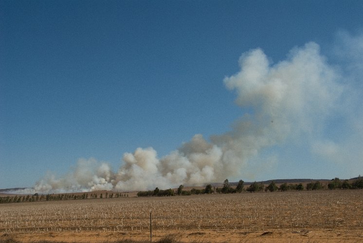 _AUS8439.jpg - immer noch wird in australien das stroh auf den feldern abgebrannt