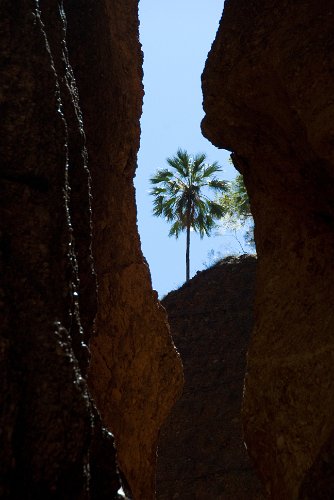 _AUS9464.jpg - blick aus der schlucht