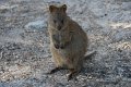 _AUS8049