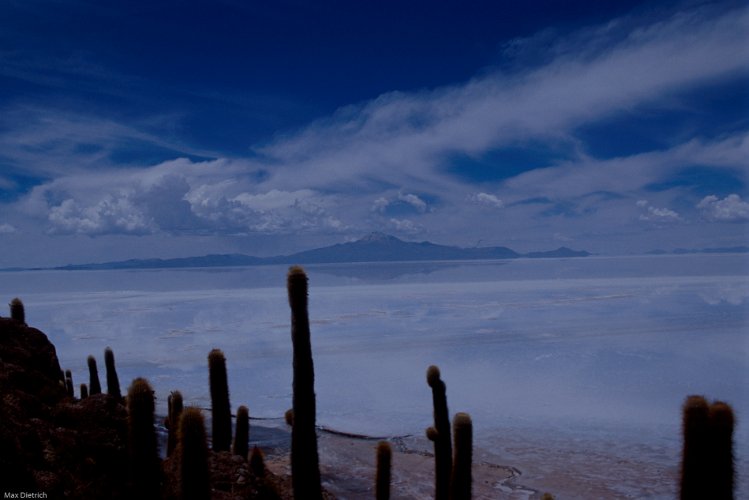 254-06.jpg - uyuni, der salar von der isla pescado aus