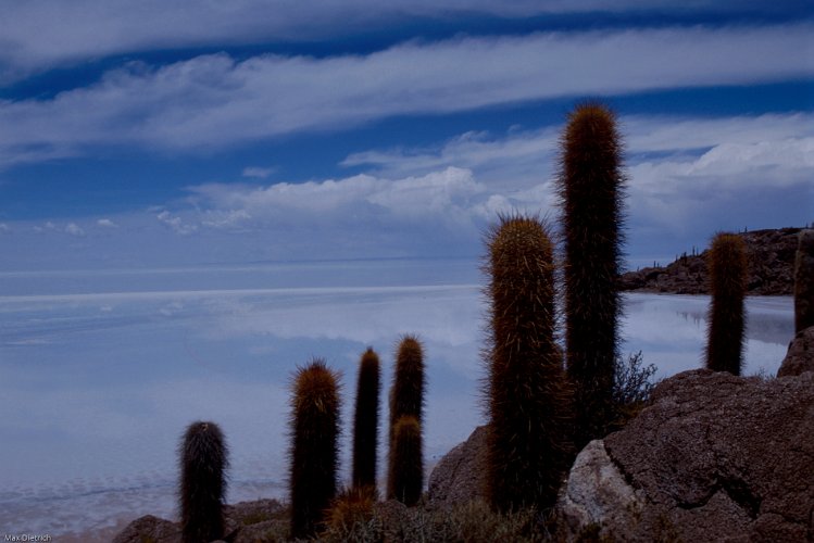 254-07.jpg - uyuni, salz soweit das auge reicht