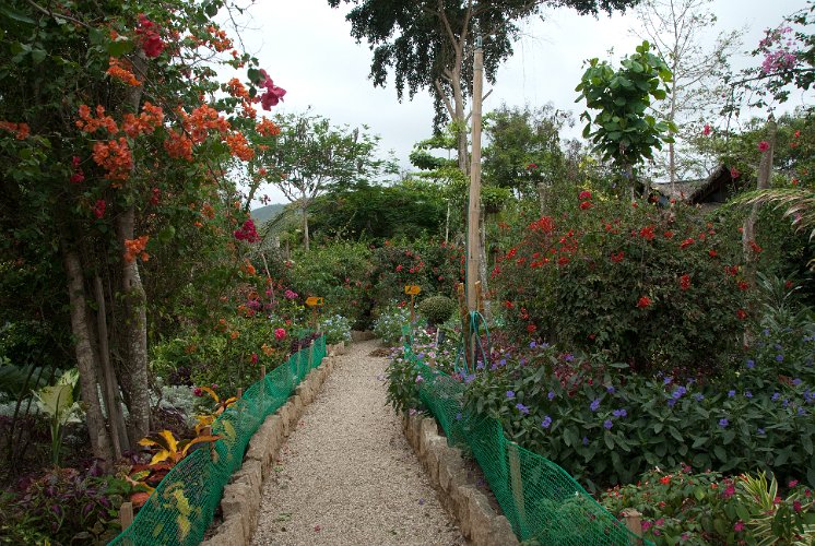 _ECU7482.jpg - im tropischen garten, ein wares paradies