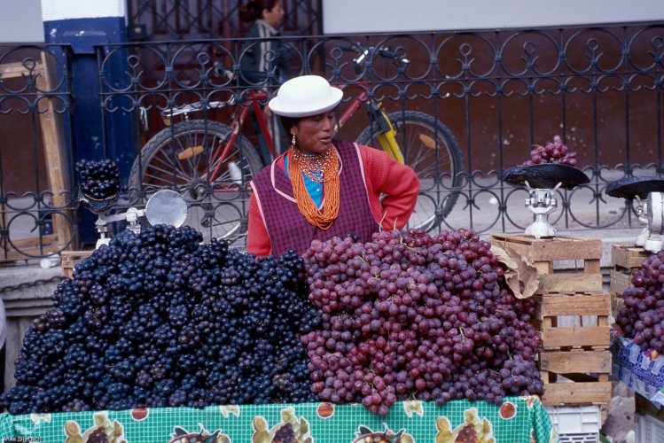 205-35.jpg - es gibt alles auf dem markt,  hier trauben ...