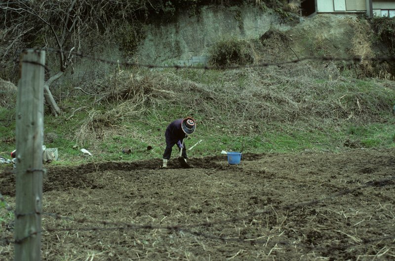 1982-0027-004-Bearbeitet.jpg - eine bäuering bei der arbeit