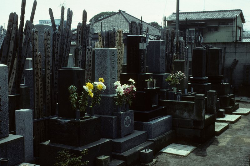 1982-0116-006-Bearbeitet.jpg - auf einem friedhof