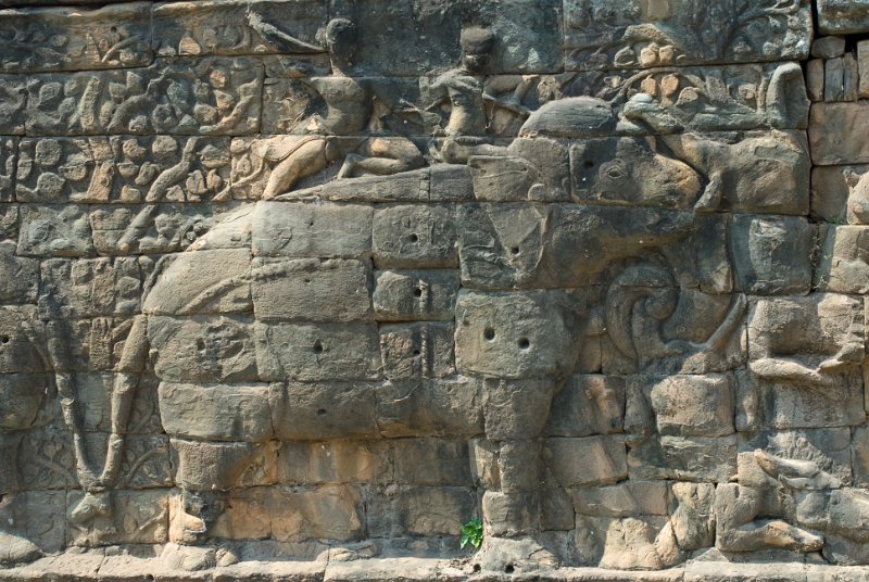 _CHI4608-Bearbeitet.jpg - nochmals ein elephant