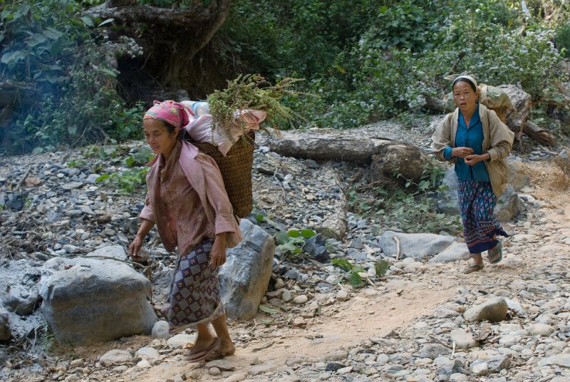 CHI_3443.jpg - vang vieng - unterwegs im dschungel