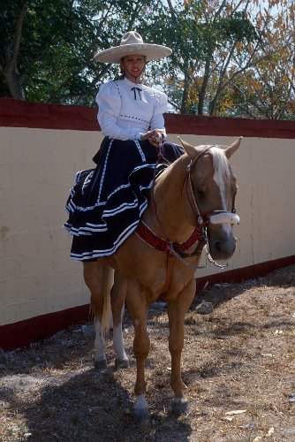 160-20.jpg - uman, mexikanische schönheit vor dem rodeo
