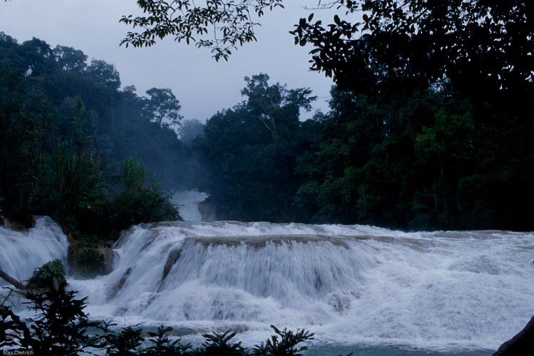 156-10.jpg - agua azul, dies hier ist eine ausnahme, meist fliesst das wasser in chiapas unterirdisch
