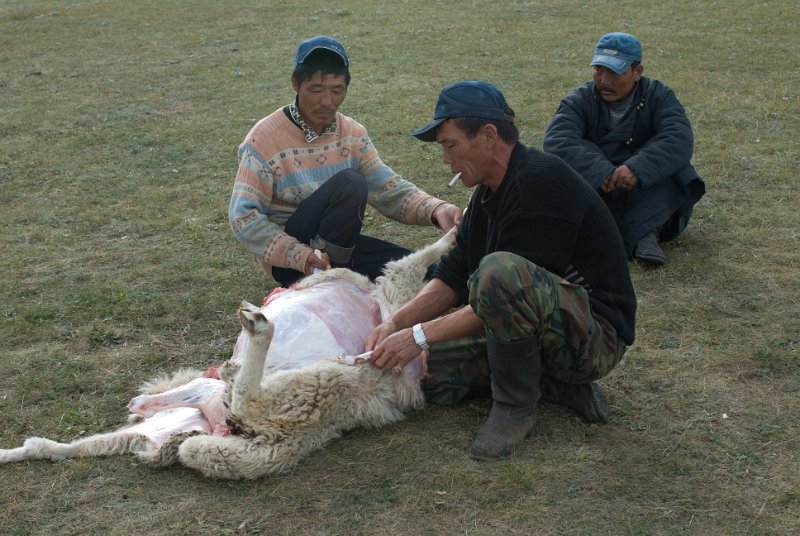 DSC_0187.jpg - bei hurles verwandten, ein schaf wird für uns geschlachtet