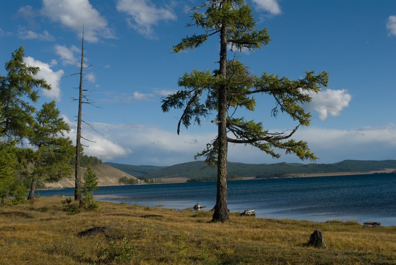 DSC_0221.jpg - khövsgöl nuur, der grösste süsswassersee der mongolei