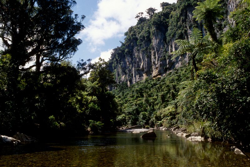 149.jpg - ein stiller fluss zum paddeln
