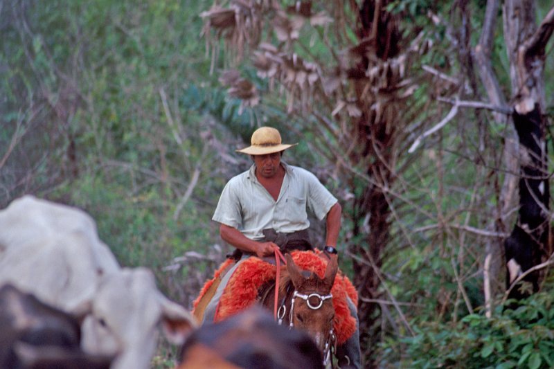 357-08-Bearbeitet.jpg - cowboy oder vaqueiro