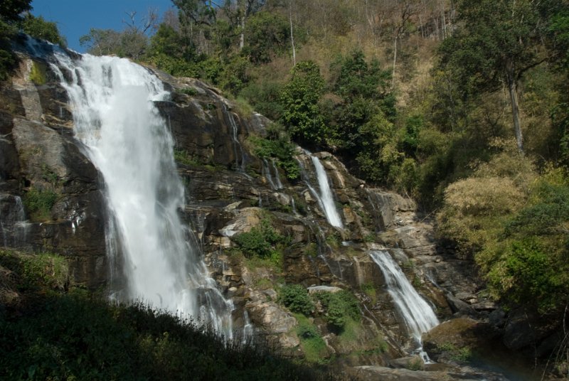 _DSC6948.jpg - doi inthanon - es war trockenzeit