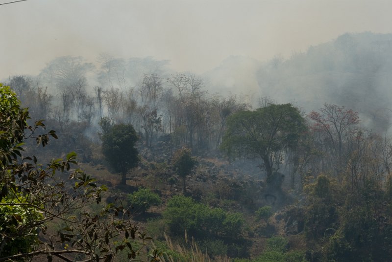 _DSC7224.jpg - in den hüdeln nahe burma - immer noch wird der wald abgebrannt