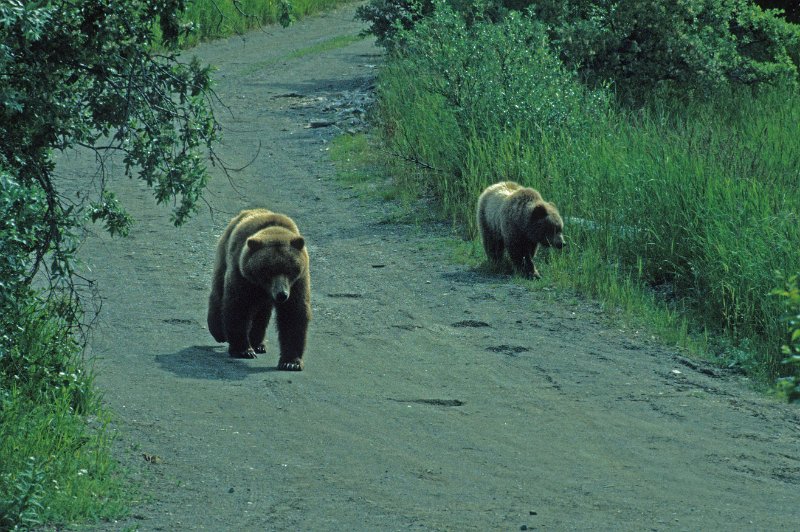 698-Bearbeitet.jpg - begegnung beim spaziergang