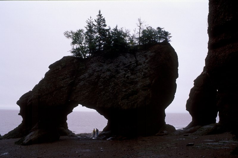 1496.jpg - new brunswick, bay of fundy, spazieren am strand bei ebbe