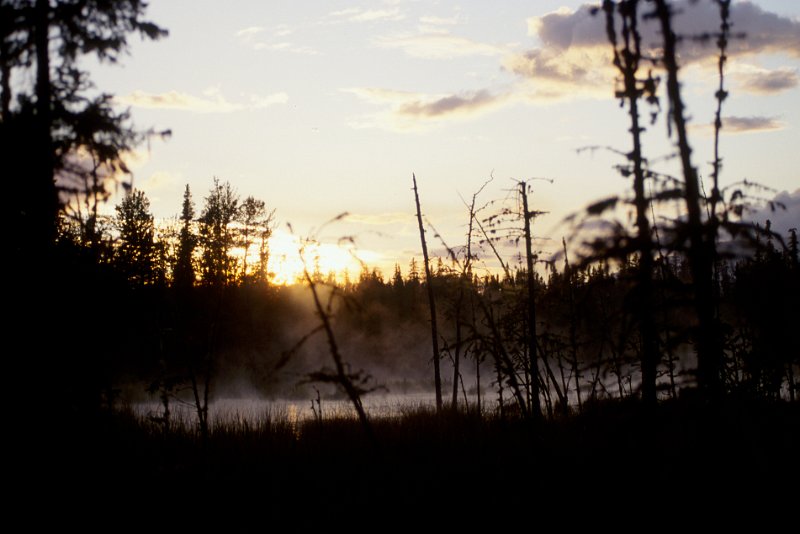 910.jpg - liard hot springs, bc