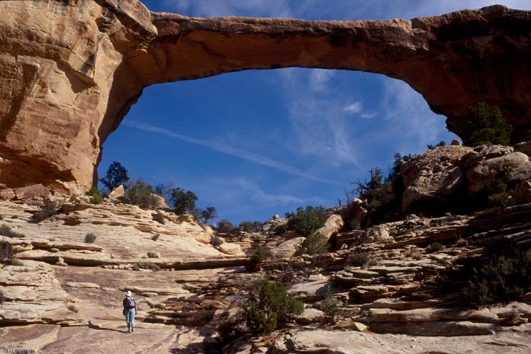 407.jpg - bridges nationalpark