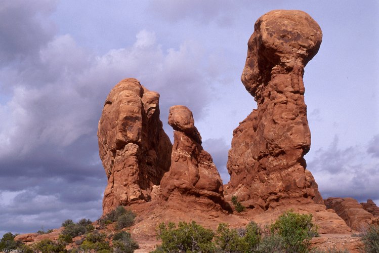 430.jpg - arches n.p.