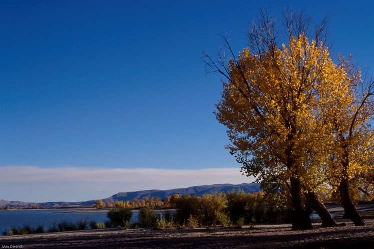 969.jpg - washoe lake nv