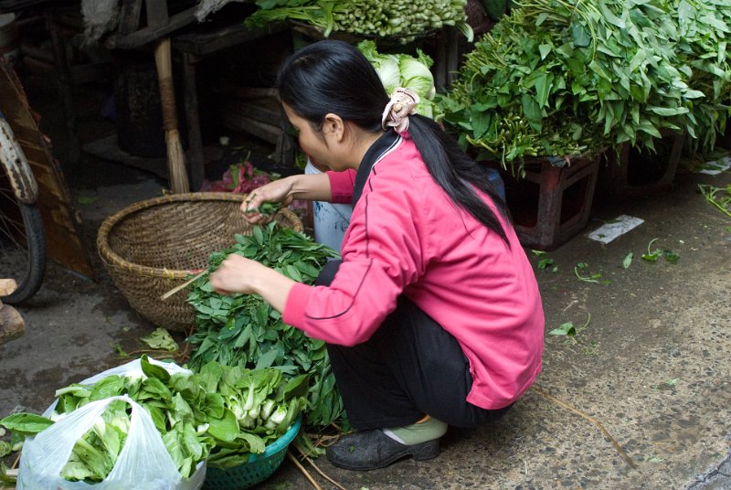 CHI_2074.jpg - hanoi - es wird gleich auf der strasse sortiert, gerüstet und zubereitet