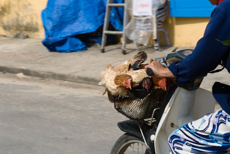 CHI_2875.jpg - hoi an - er bringt die sonntagsbraten nach hause