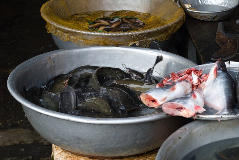 CHI_3145.jpg - dalat - überfüllte becken, man tranchiert hier den lebenden fisch