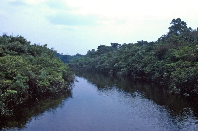 368-10-Bearbeitet.jpg - black water river, close to rio negro