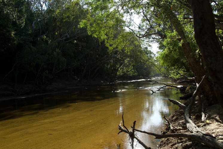 _AUS0031.jpg - that is the habitat of crocodiles