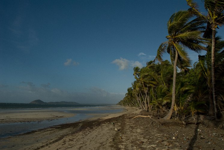_AUS0040.jpg - chili beach, iron range nationalpark, york peninsula