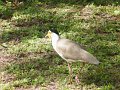DSCF0383