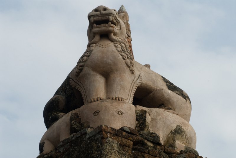 _DSC6253.jpg - strong and strange animals are watching over them