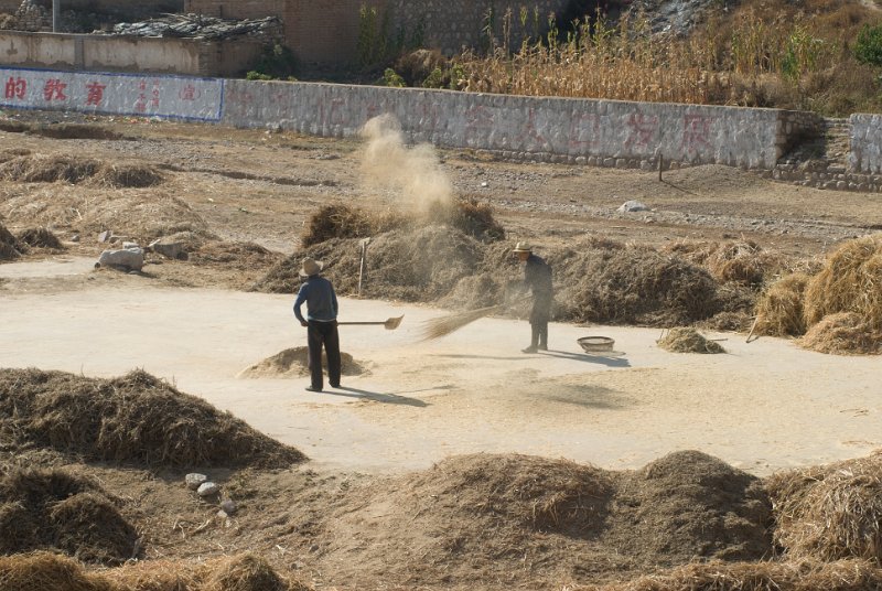CHI_0719.jpg - separating the chaff from the wheat