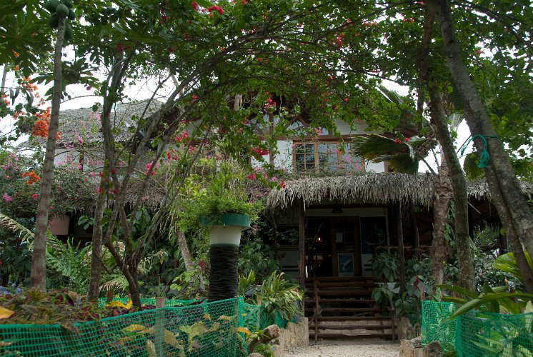 _ECU7486.jpg - main building and restaurant