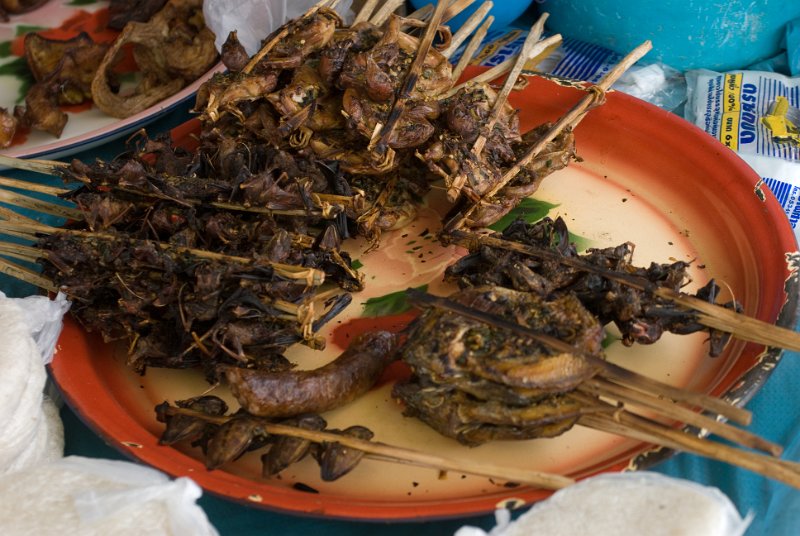 CHI_3984.jpg - muang sing - grilled something - some food is a real surprise