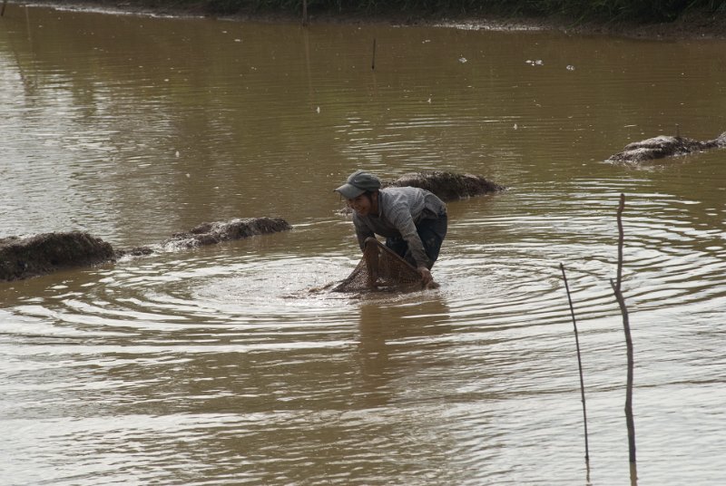 CHI_3857.jpg - luang nam tha - catching  small fish