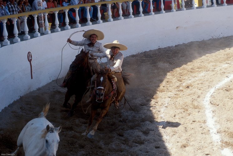 161-31.jpg - chasing a horse