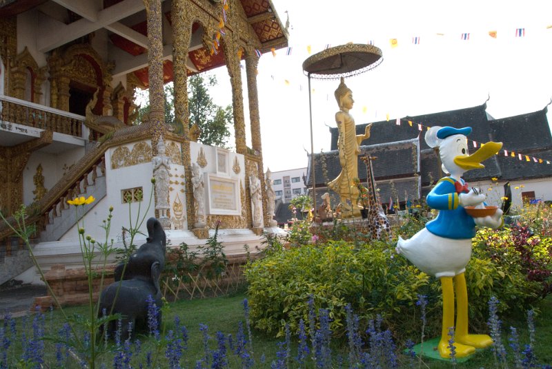_DSC6933.jpg - chiang mai - donald duck in front of a buddhist temple