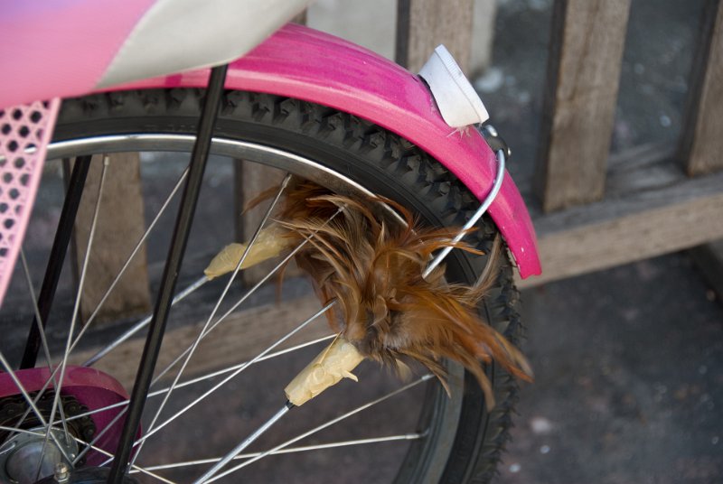 _DSC6830.jpg - bangkok - automatic wheel cleaner
