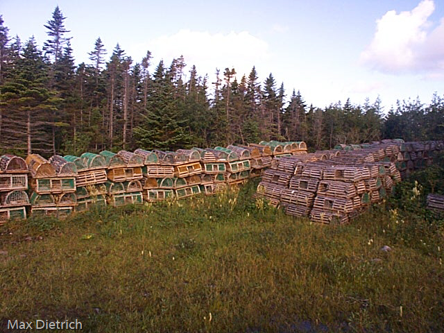 NF009.jpg - lobster traps, there is no more fishing in new foundland since the fish was almost extinct