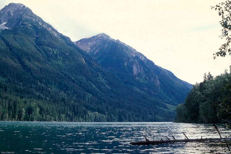 113-30.jpg - birken lake, bc
