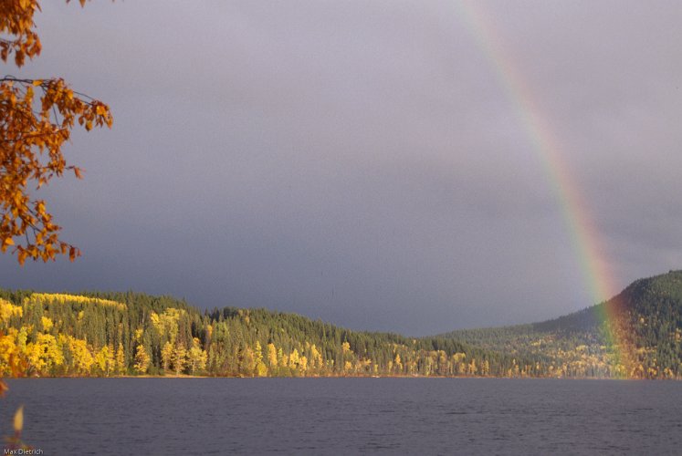 116-36.jpg - kascheck lake, bc