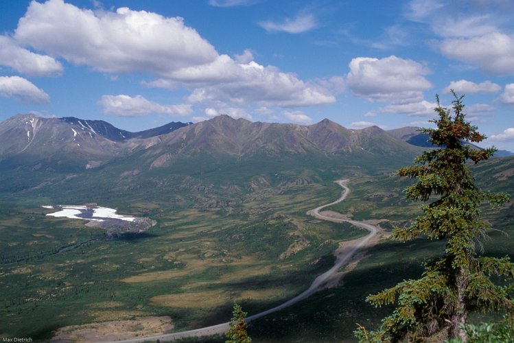 573.jpg - dempster highway, yukon